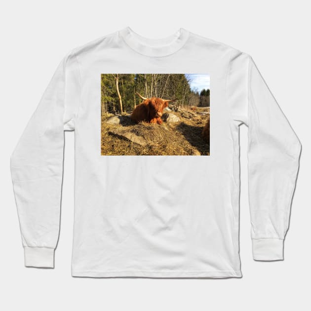 Scottish Highland Cattle Cow 2332 Long Sleeve T-Shirt by SaarelaHighland